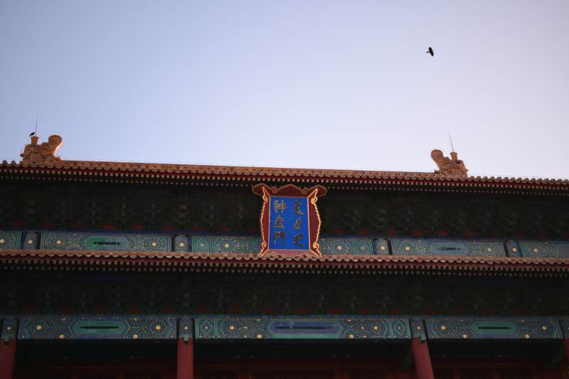 故宫殿宇飞鸟图片