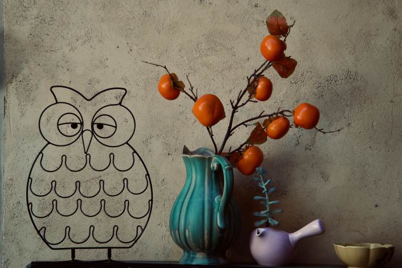 猫头鹰与柿子枝图片