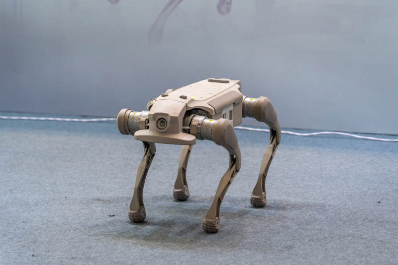 智元机器人四足机器狗机器人行走中图片