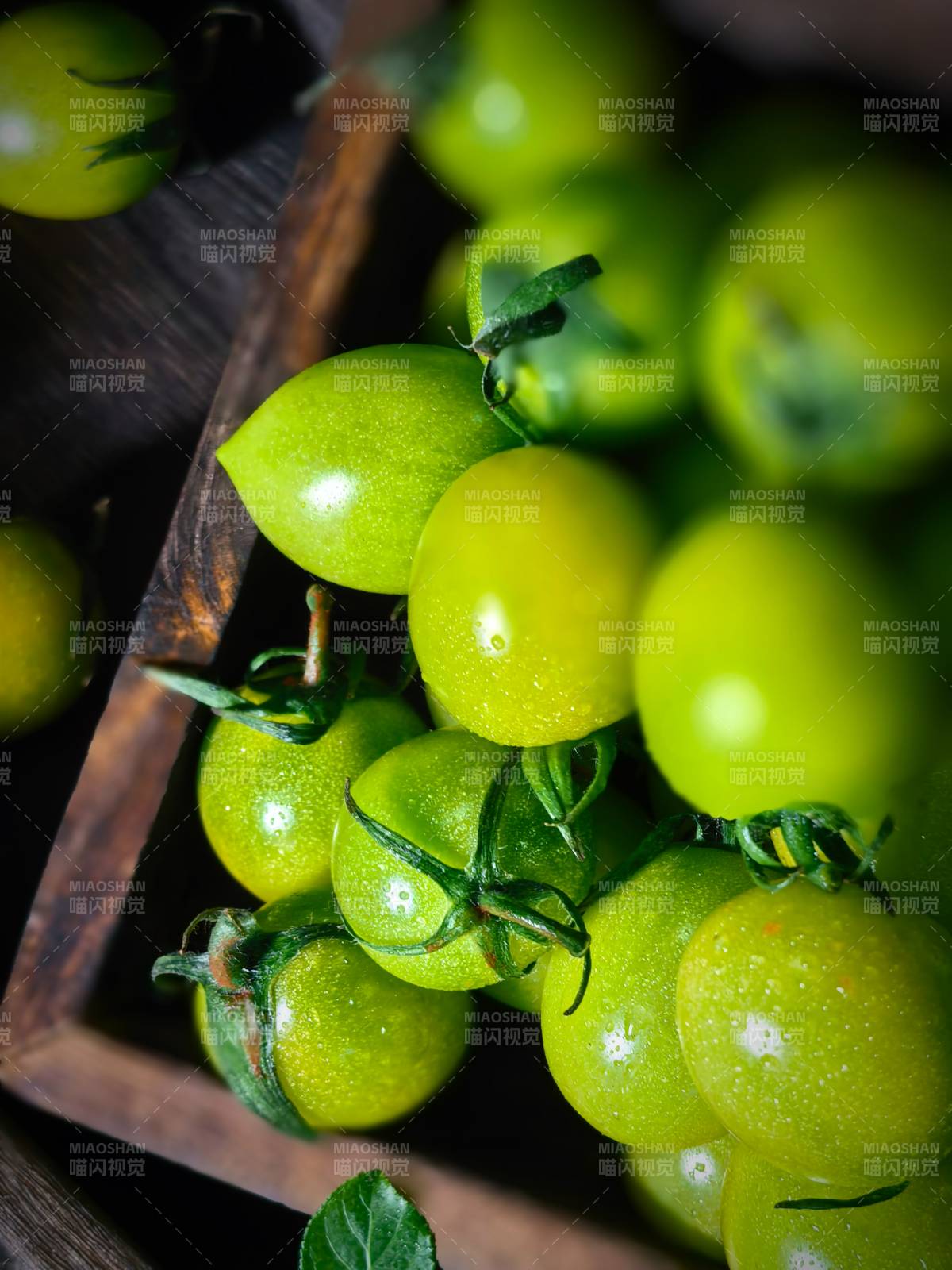 青番茄静物图片