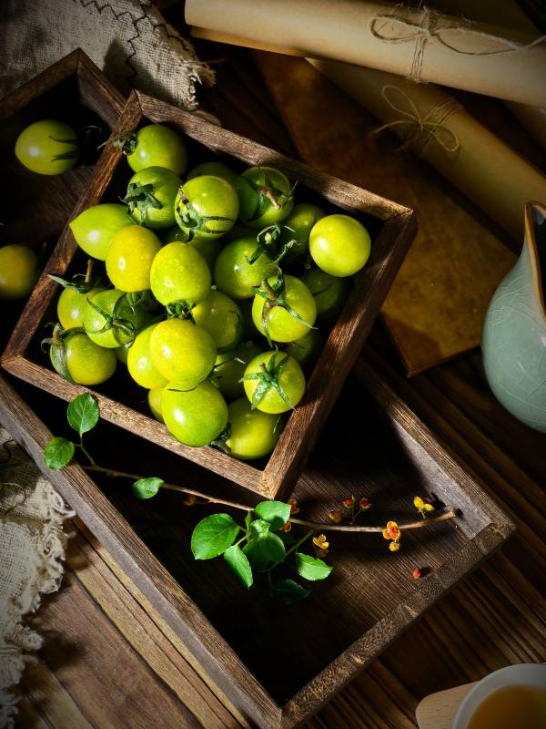 青番茄静物图图片