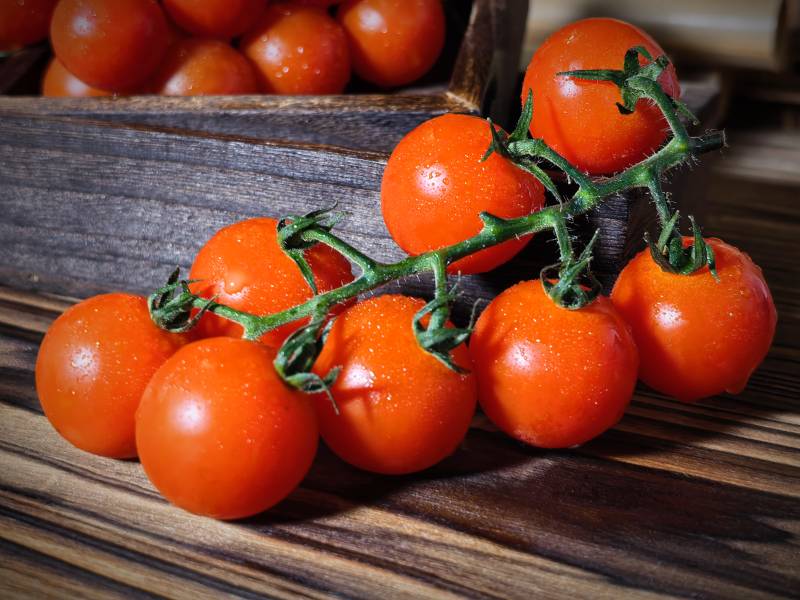 新鲜樱桃番茄图片