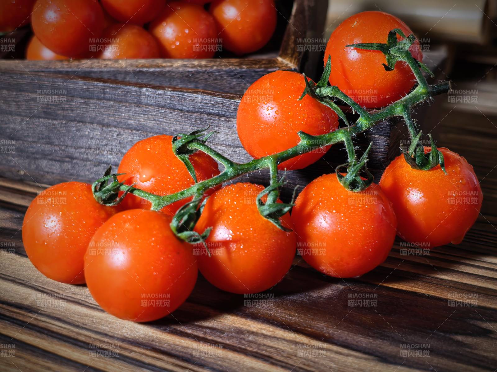 新鲜樱桃番茄图片