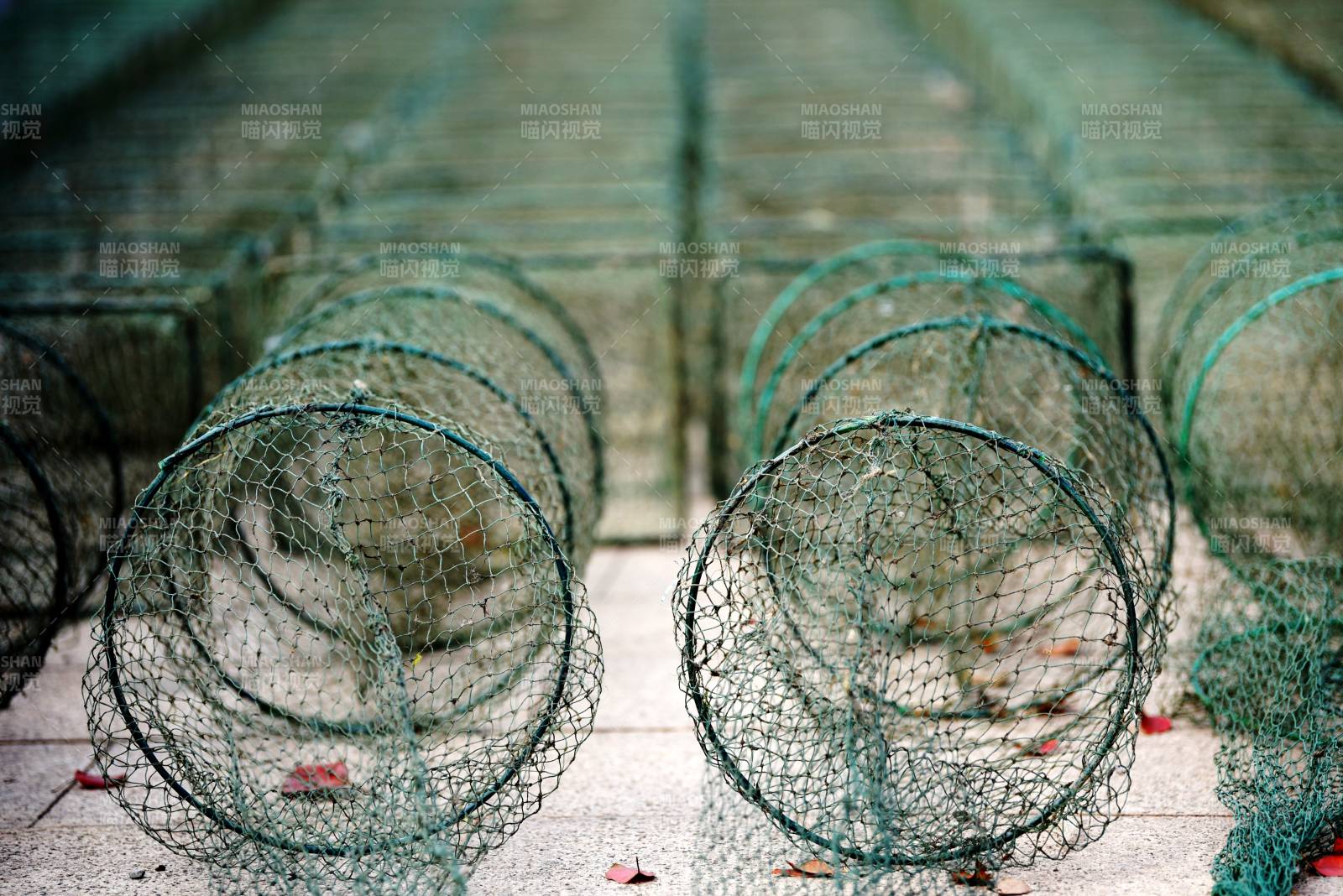 渔网笼子排列整齐图片
