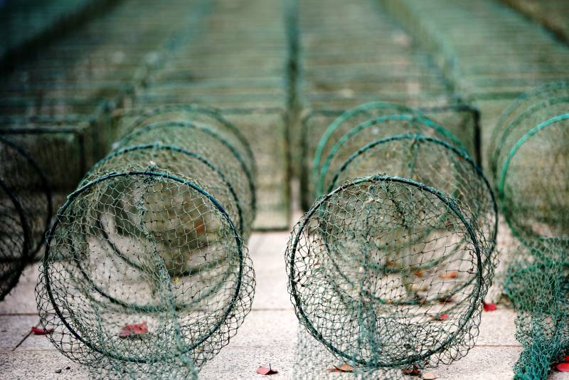 渔网笼子排列整齐图片
