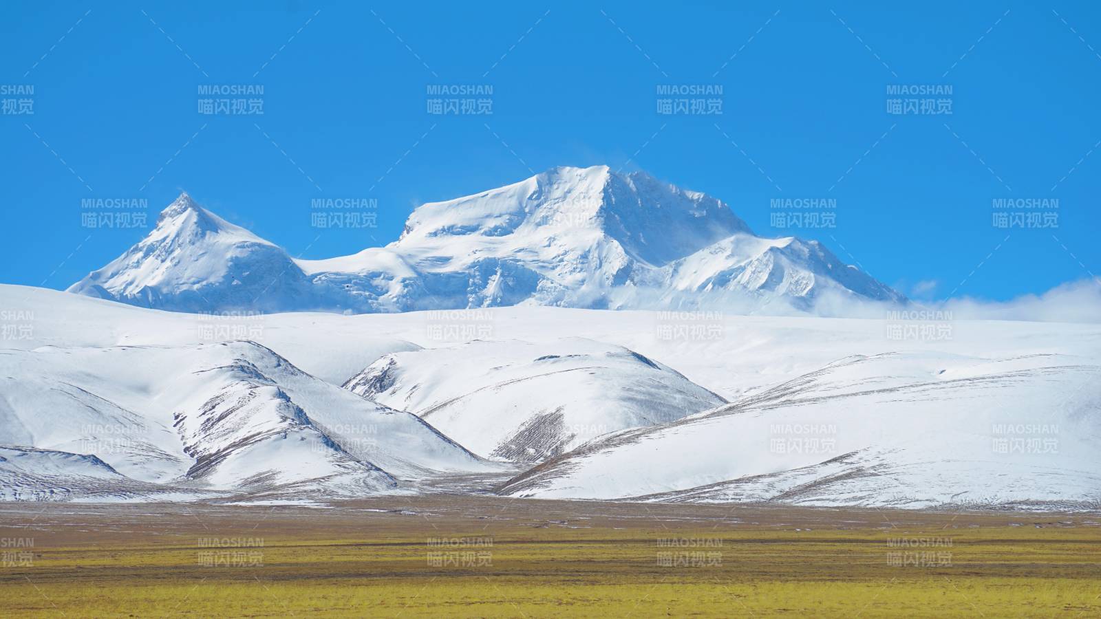 希夏邦马峰牧场风光图片