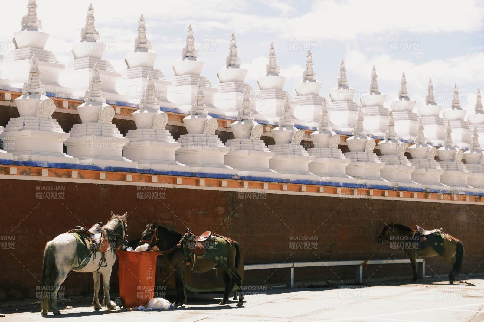 塔公草原马群与白塔墙图片