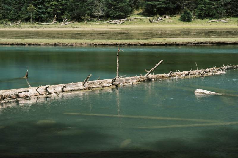月亮湖湖面浮木静景图片