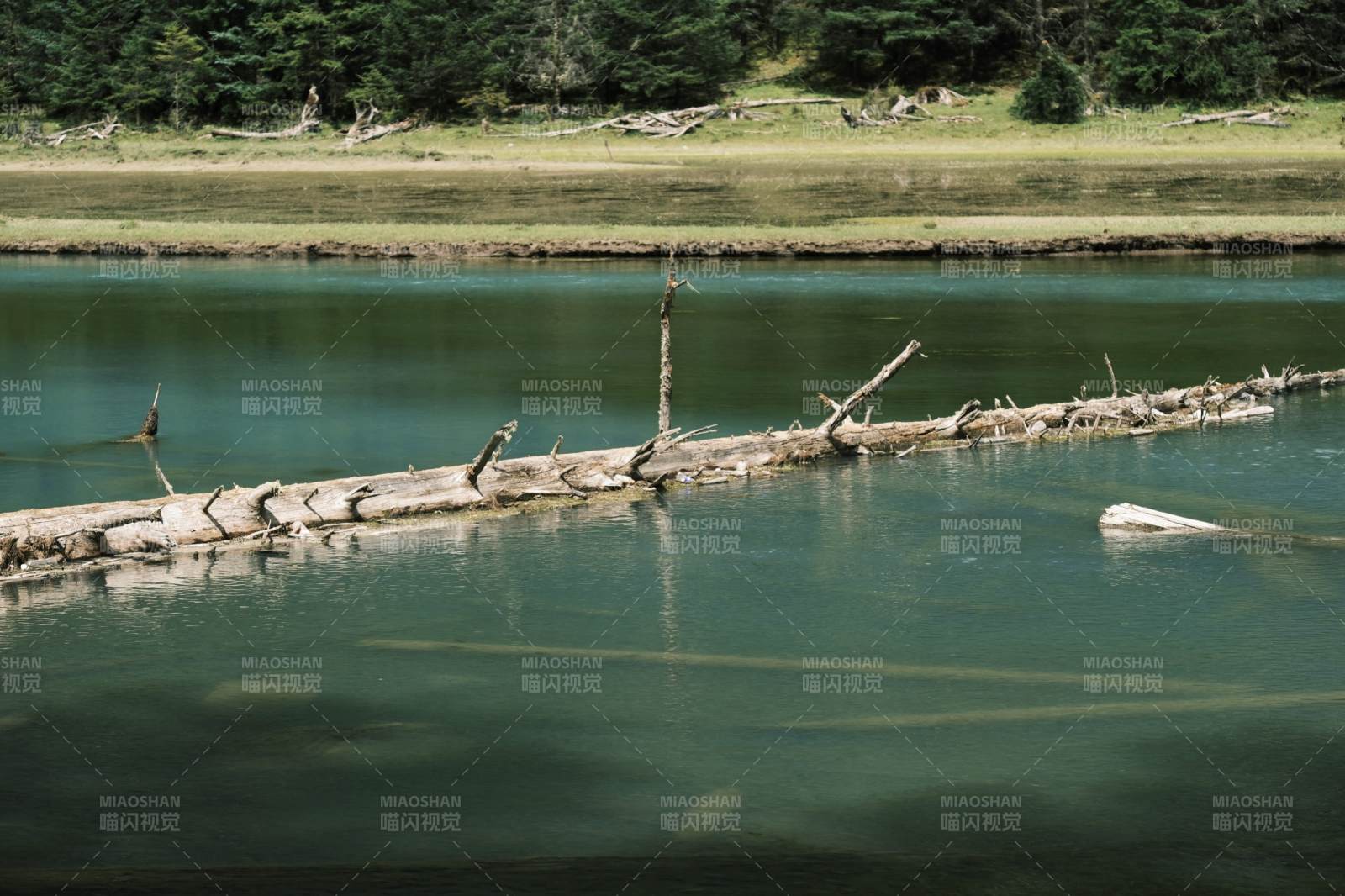 月亮湖湖面浮木静景图片