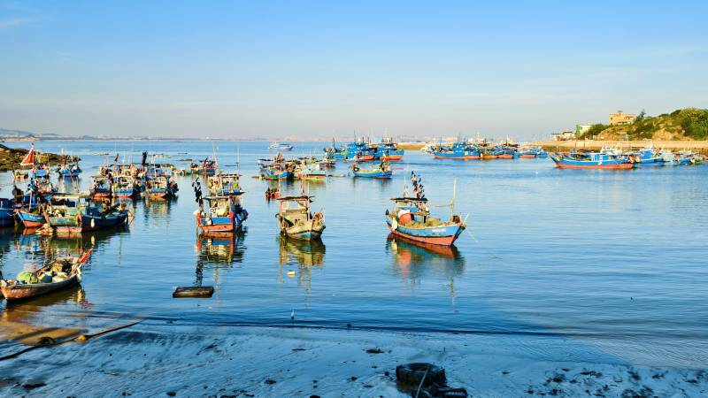 泉州渔港晨景图片