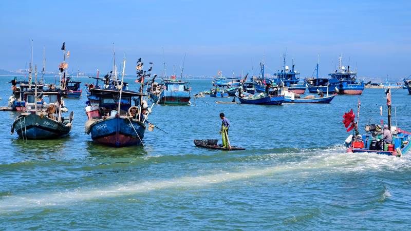 泉州渔港风光图片