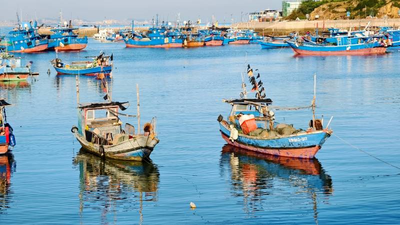 泉州渔港静泊图图片