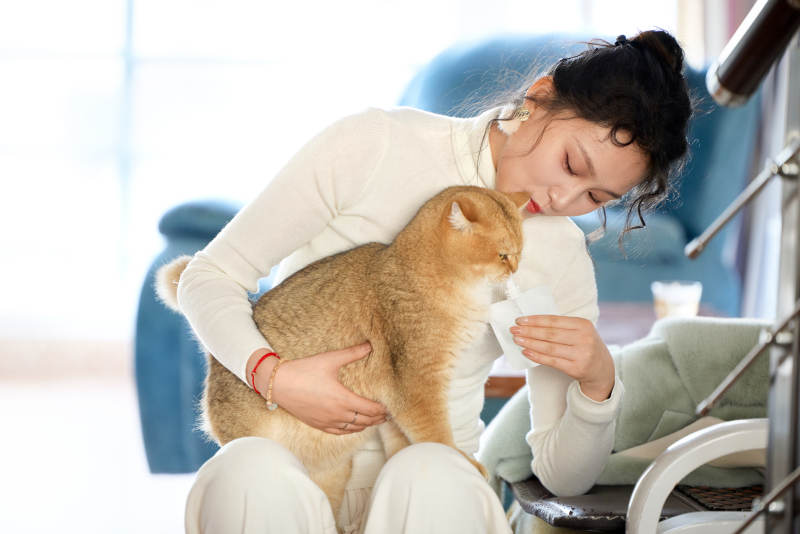 假日在家和猫咪嬉戏的亚洲美女图片