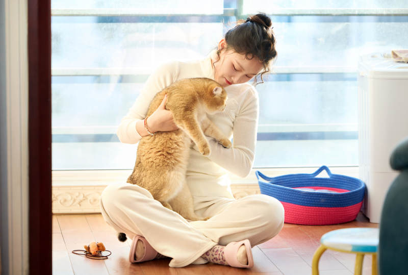 假日在家和猫咪嬉戏的亚洲美女图片