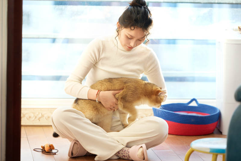 假日在家和猫咪嬉戏的亚洲美女图片