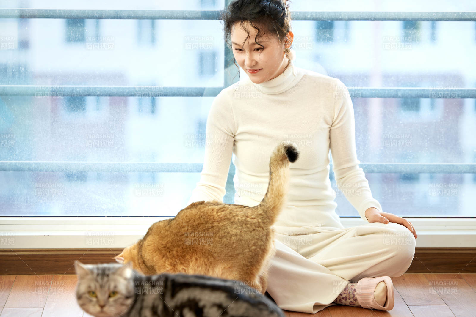 假日在家和猫咪嬉戏的亚洲美女图片