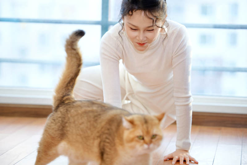 假日在家和猫咪嬉戏的亚洲美女图片