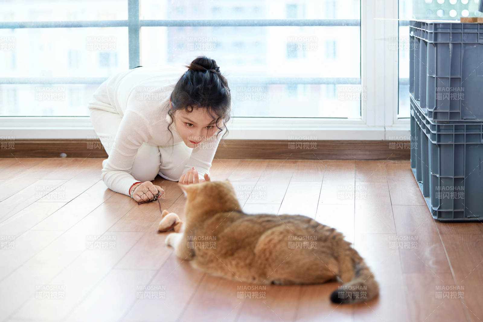 假日在家和猫咪嬉戏的亚洲美女图片