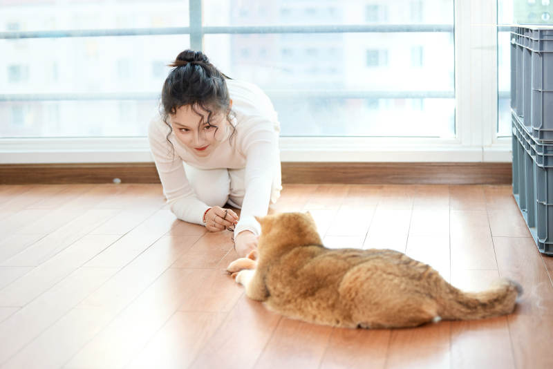 假日在家和猫咪嬉戏的亚洲美女图片