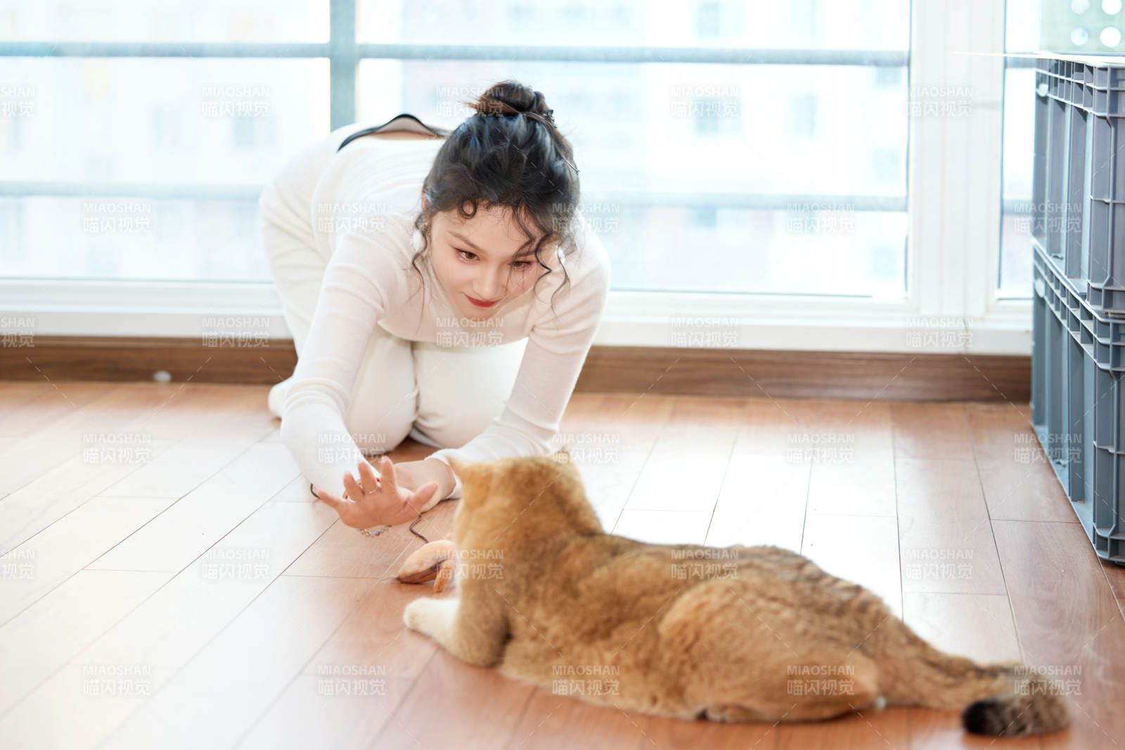 假日在家和猫咪嬉戏的亚洲美女图片