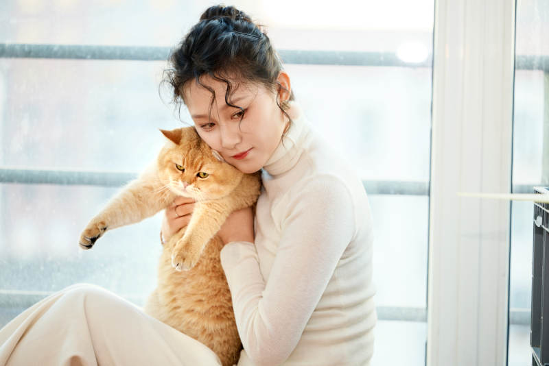 假日在家和猫咪嬉戏的亚洲美女图片