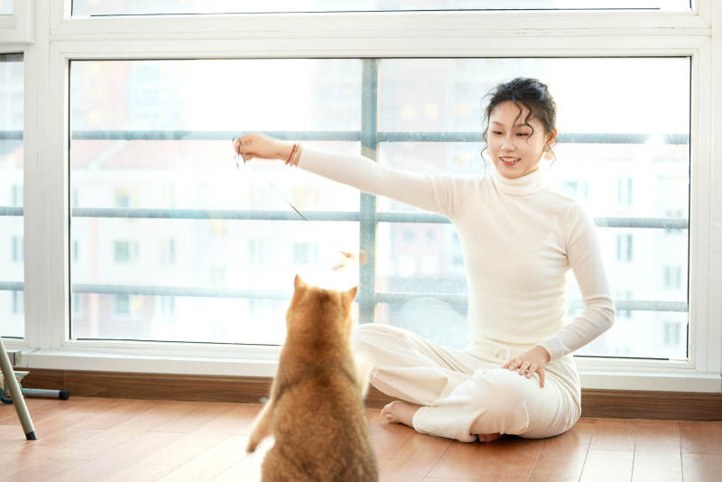 假日在家和猫咪嬉戏的亚洲美女图片