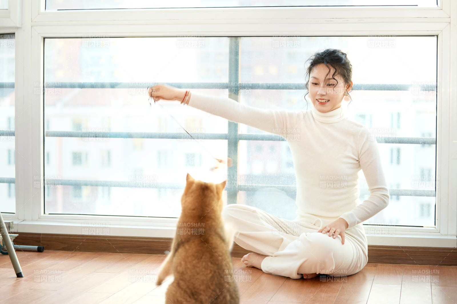 假日在家和猫咪嬉戏的亚洲美女图片