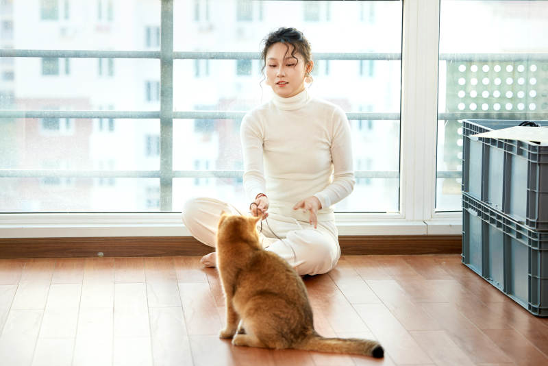 假日在家和猫咪嬉戏的亚洲美女图片