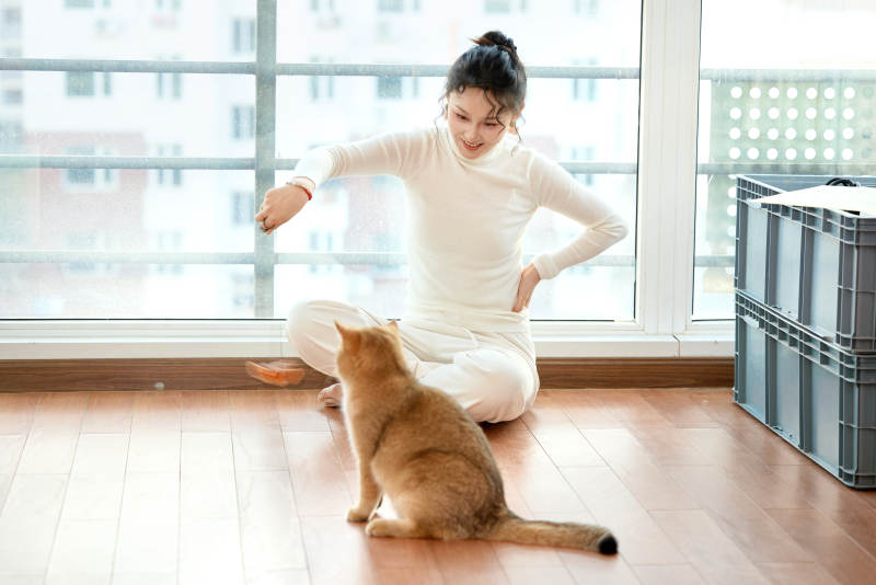 假日在家和猫咪嬉戏的亚洲美女图片