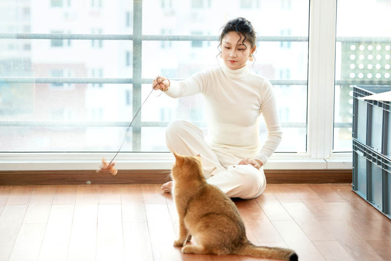 假日在家和猫咪嬉戏的亚洲美女图片