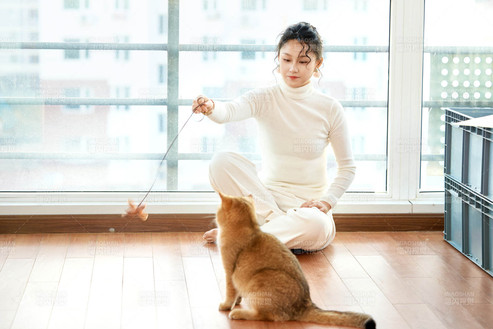 假日在家和猫咪嬉戏的亚洲美女图片