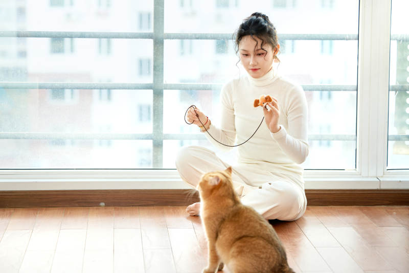 假日在家和猫咪嬉戏的亚洲美女图片