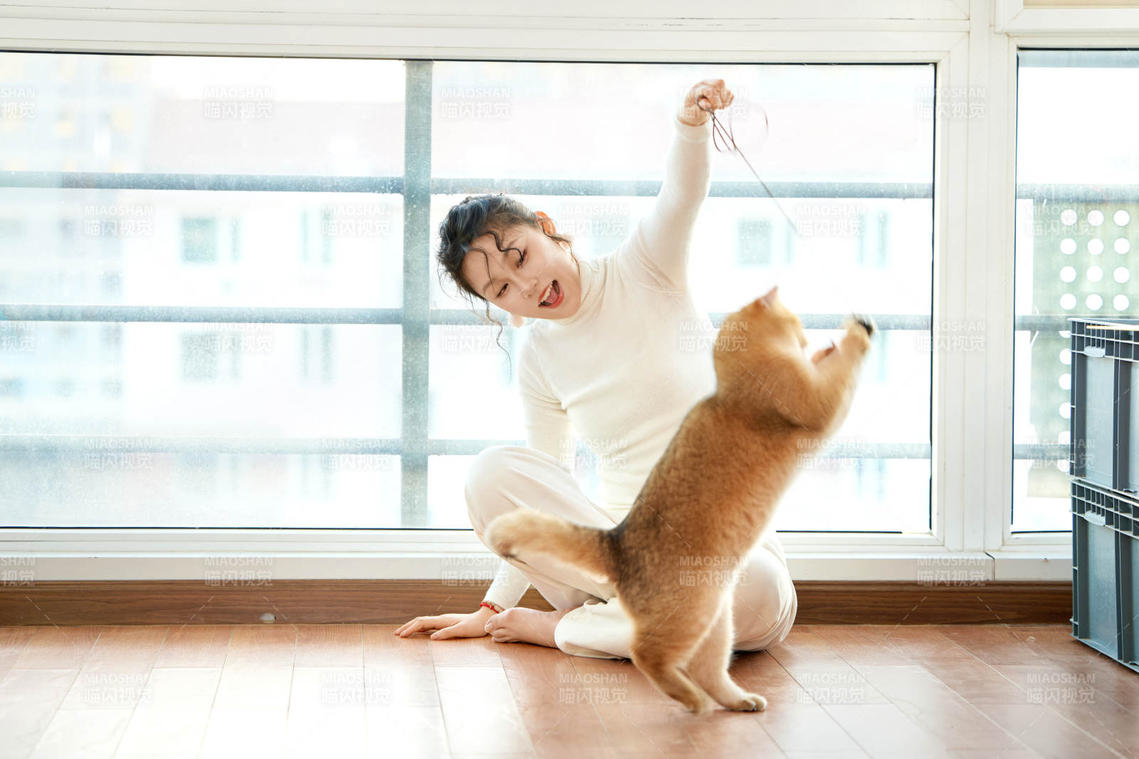 假日在家和猫咪嬉戏的亚洲美女图片