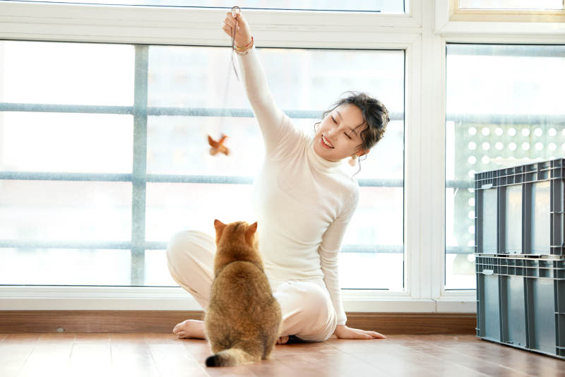 假日在家和猫咪嬉戏的亚洲美女图片