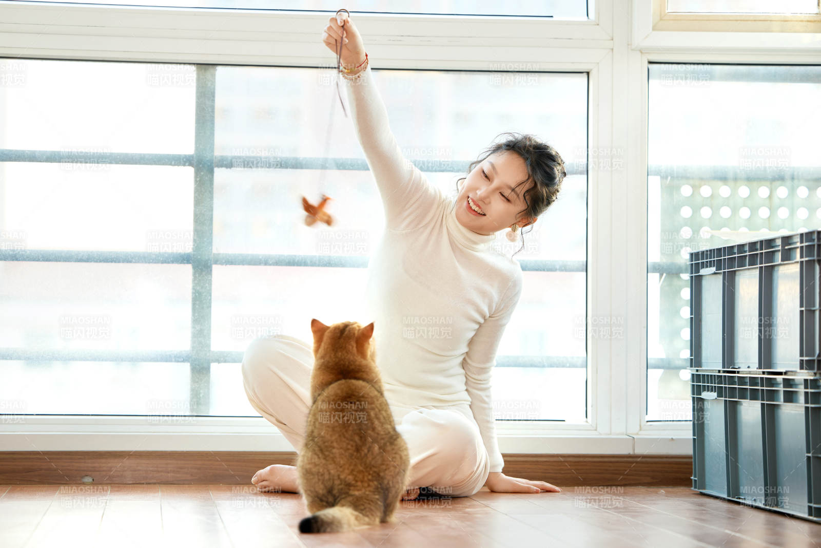 假日在家和猫咪嬉戏的亚洲美女图片