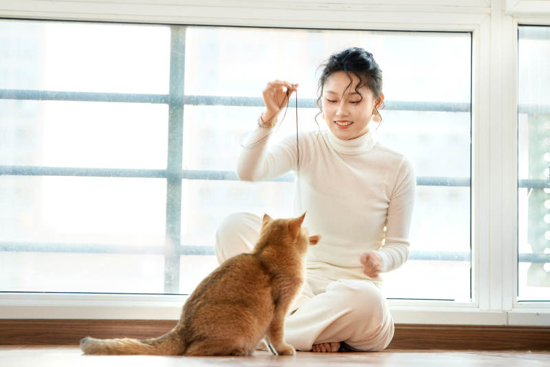 假日在家和猫咪嬉戏的亚洲美女图片