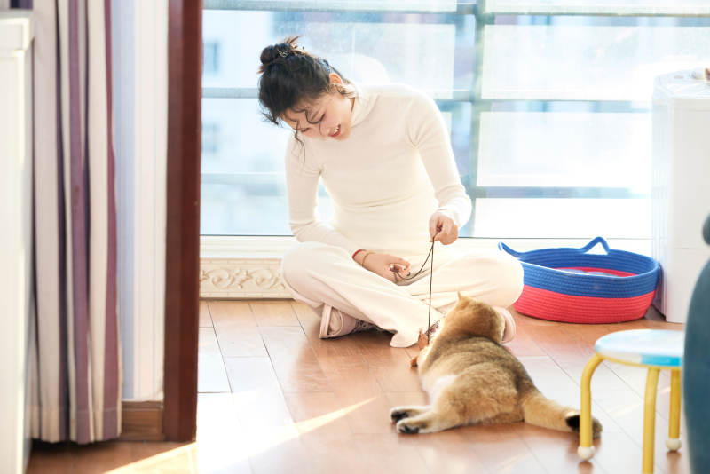 假日在家和猫咪嬉戏的亚洲美女图片