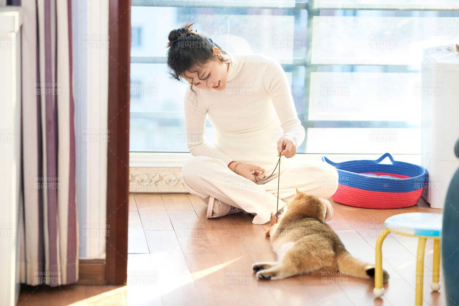 假日在家和猫咪嬉戏的亚洲美女图片