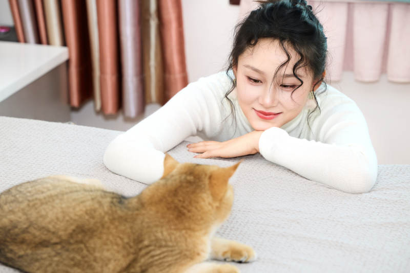 假日在家和猫咪嬉戏的亚洲美女图片