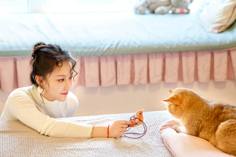 假日在家和猫咪嬉戏的亚洲美女图片