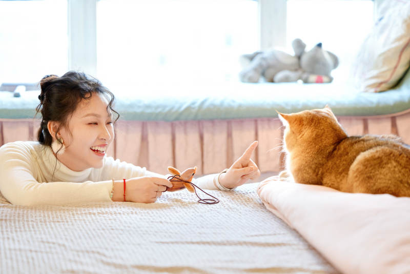 假日在家和猫咪嬉戏的亚洲美女图片