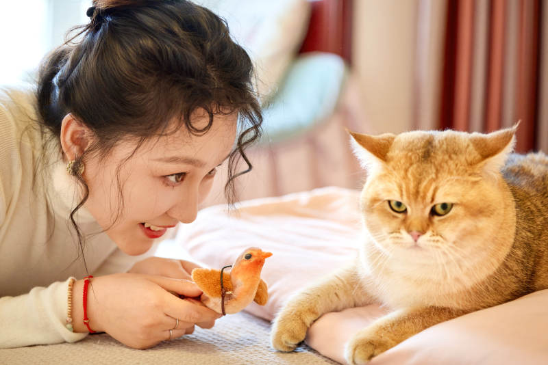 假日在家和猫咪嬉戏的亚洲美女图片