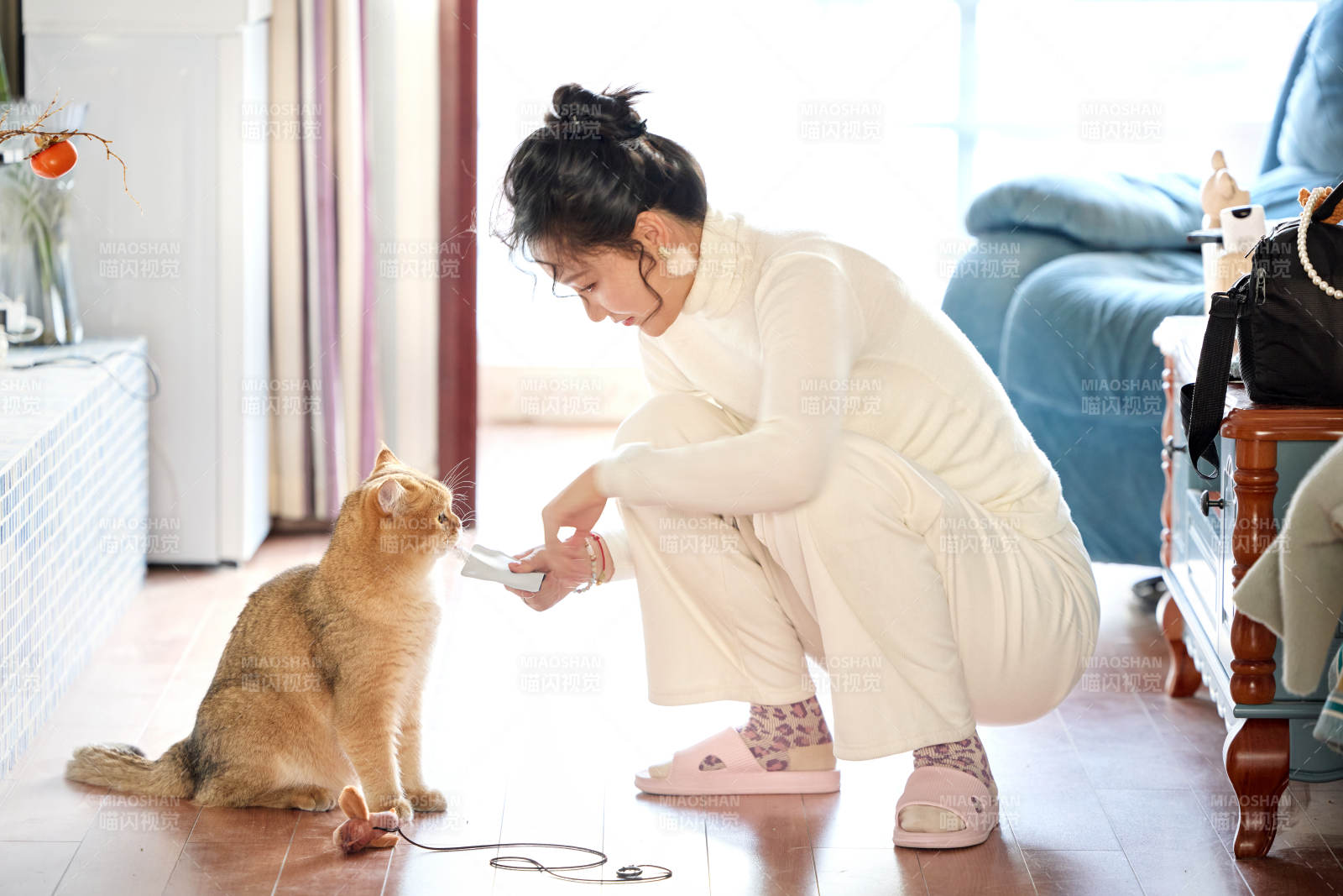 假日在家和猫咪嬉戏的亚洲美女图片