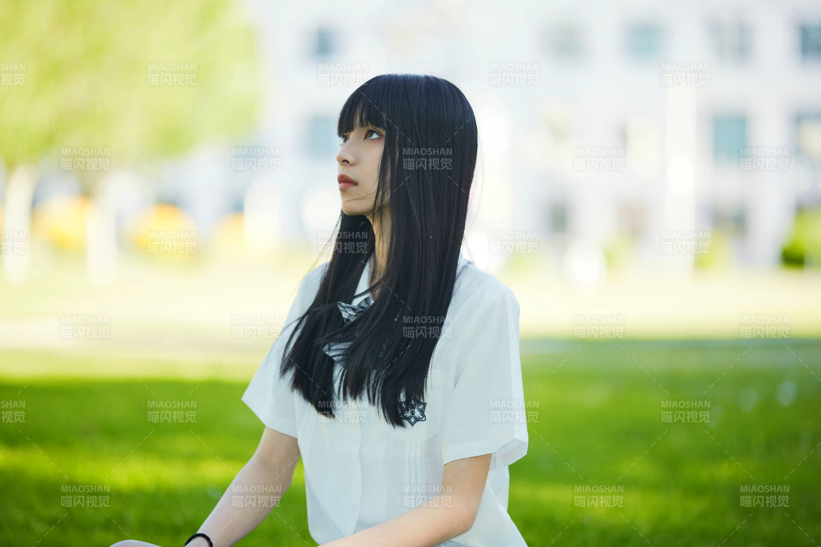 在户外草坪看书学习的女生图片