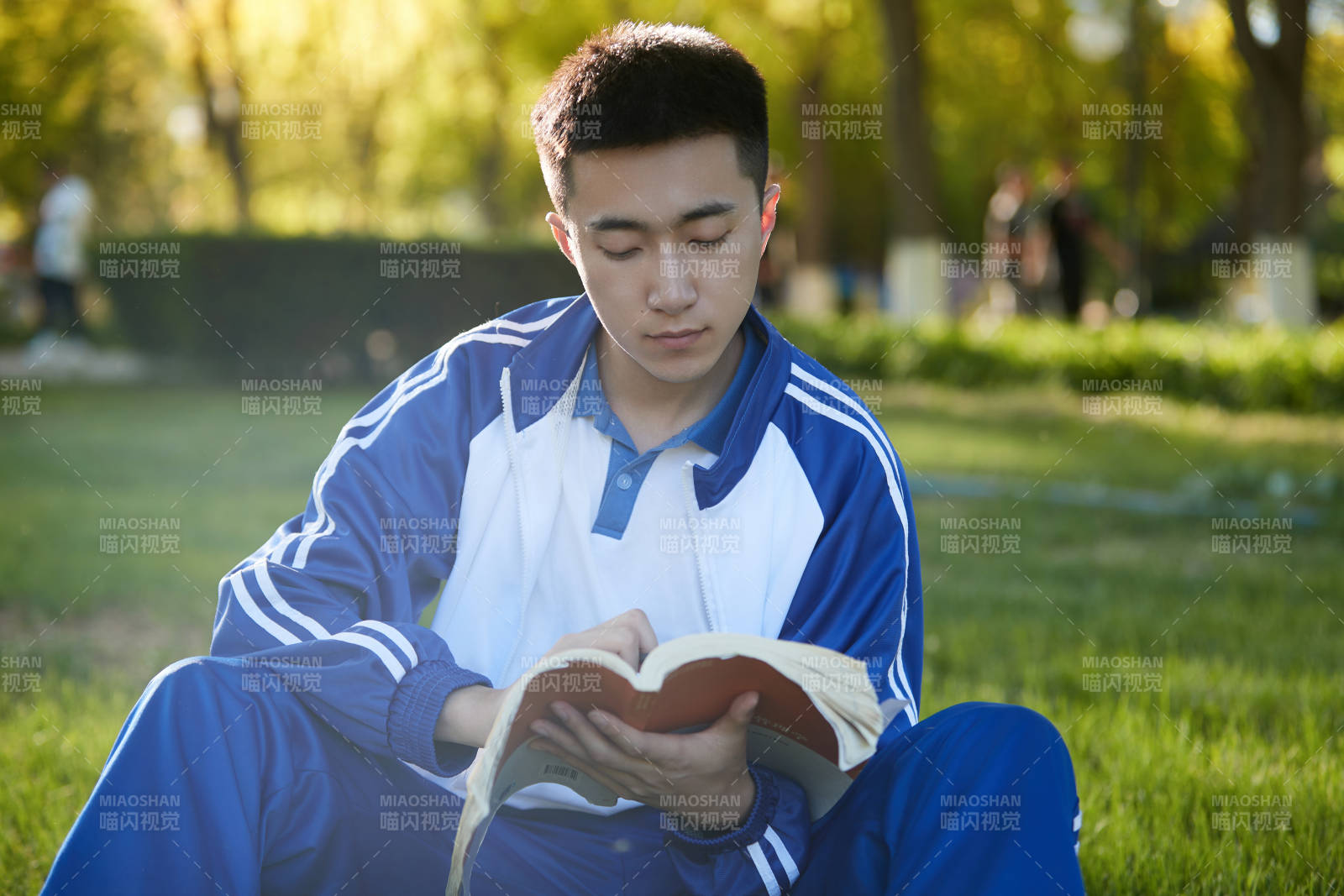 在户外草坪看书学习的女生图片