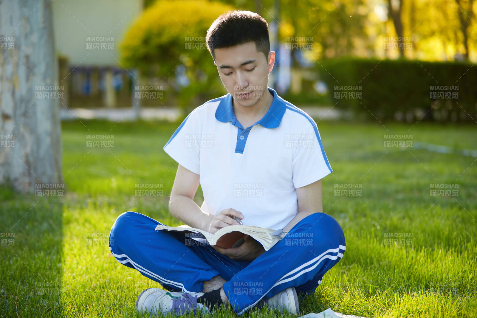 校园户外草坪上备战高考的高中生图片