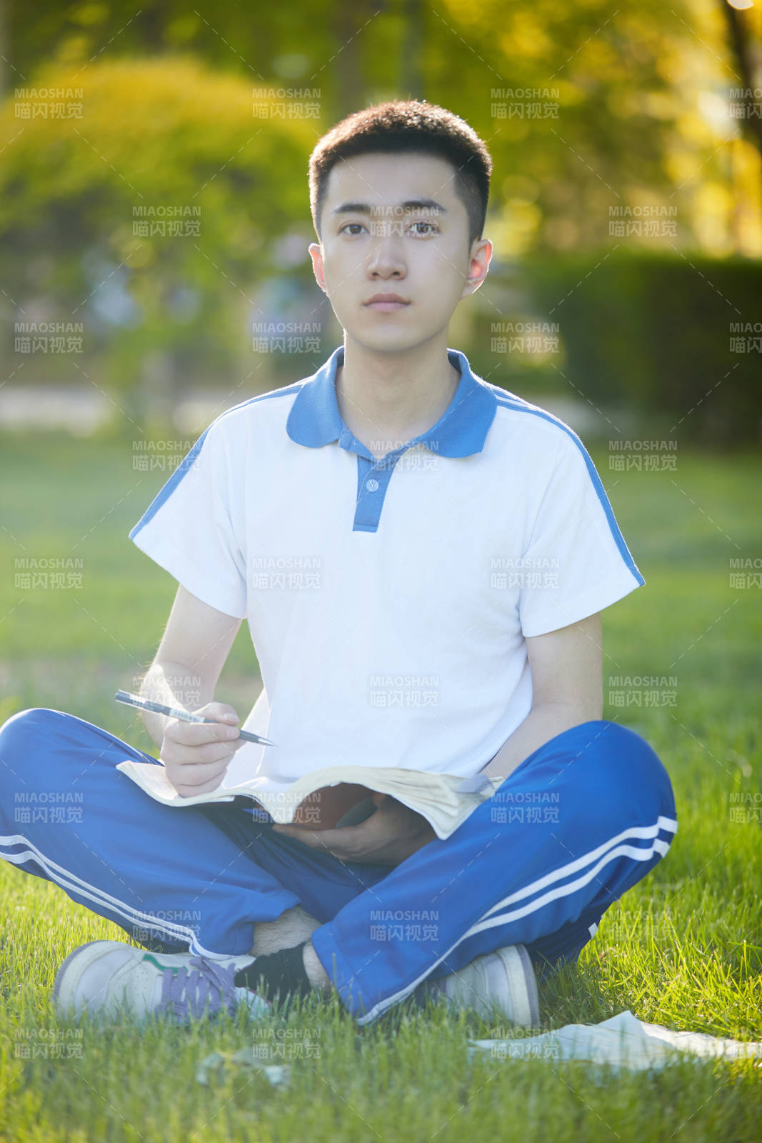 校园户外草坪上备战高考的高中生图片