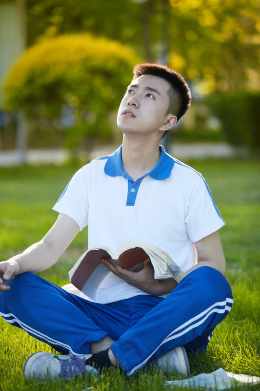 校园户外草坪上备战高考的高中生图片