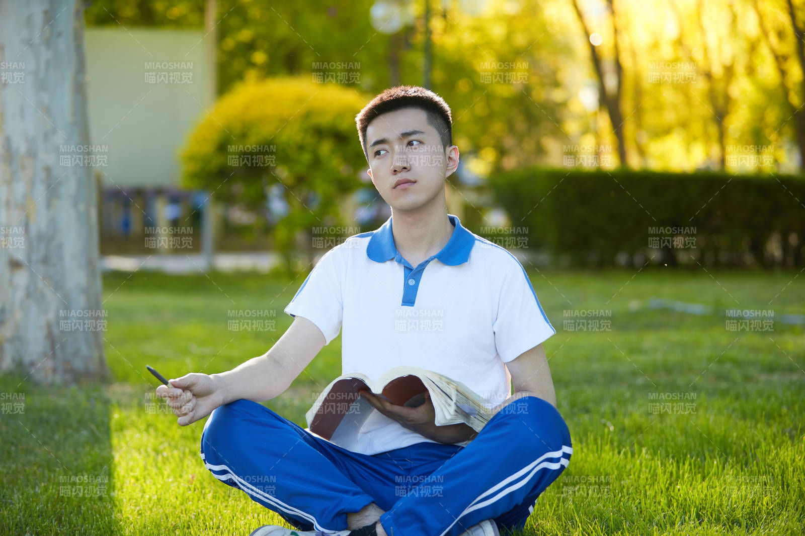 校园户外草坪上备战高考的高中生图片