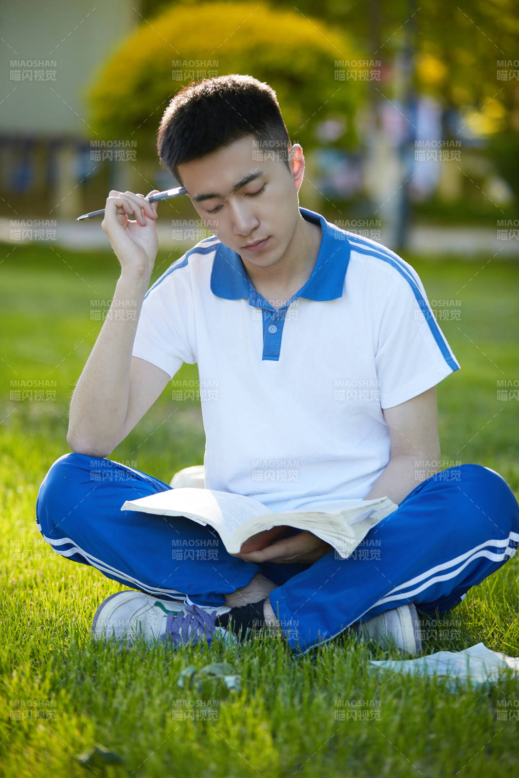 校园户外草坪上备战高考的高中生图片